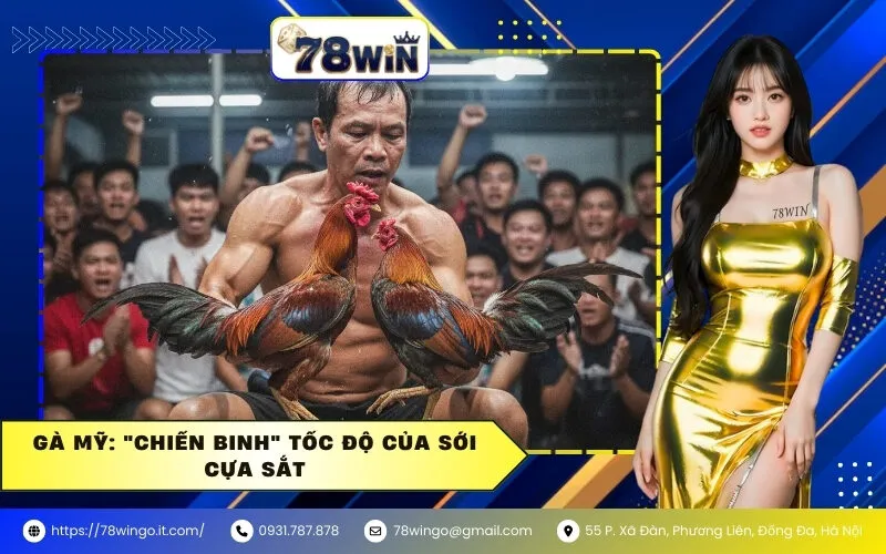 Gà Mỹ: "Chiến Binh" Tốc Độ Của Sới Cựa Sắt