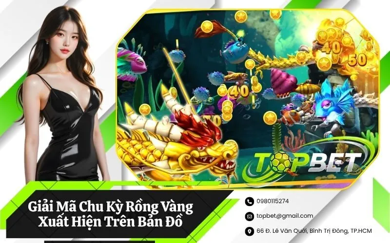 Giải Mã Chu Kỳ Rồng Vàng Xuất Hiện Trên Bản Đồ Đại Dương