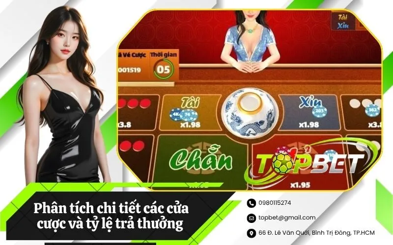 Phân tích chi tiết các cửa cược và tỷ lệ trả thưởng trong xóc đĩa