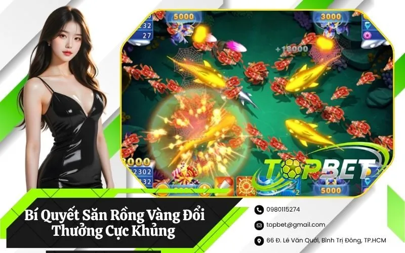 Săn Rồng Vàng